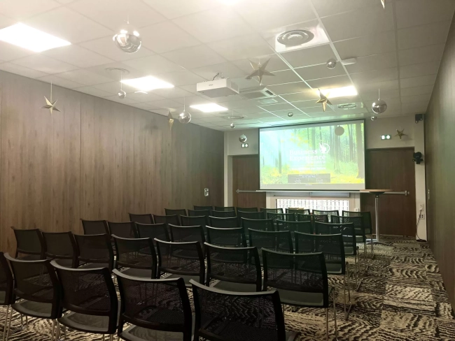 Salle Pin du Parc Astérix, une salle pour les séminaires et les réunions