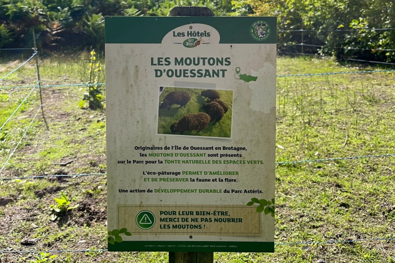 Moutons