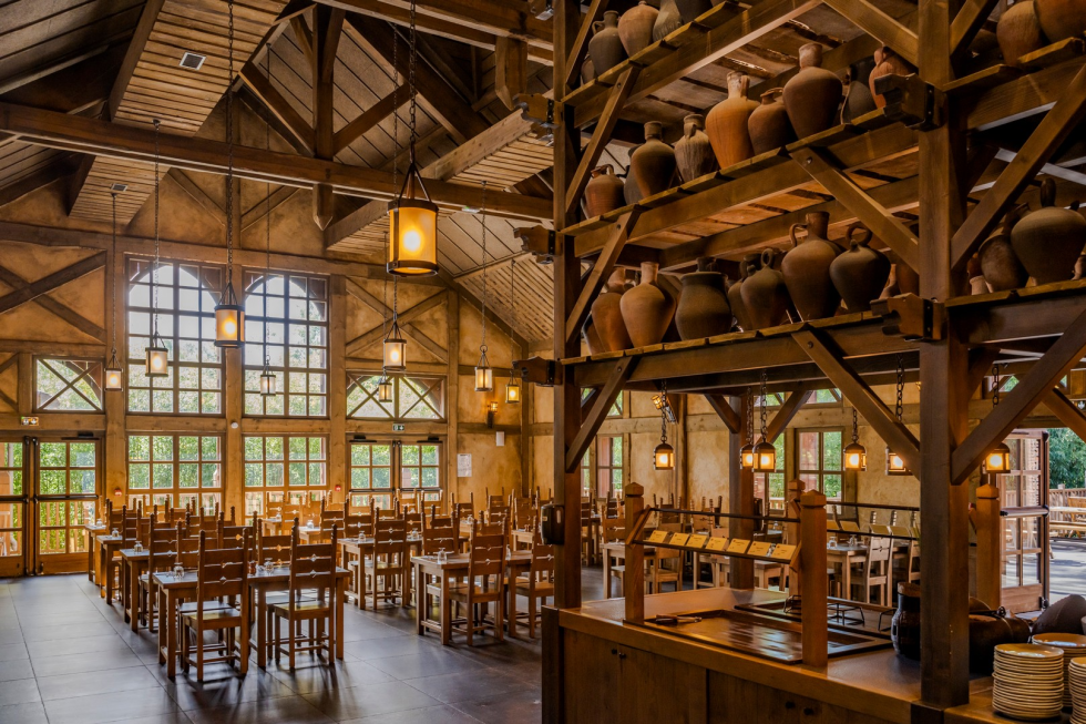 La Cité Suspendue du Parc Astérix